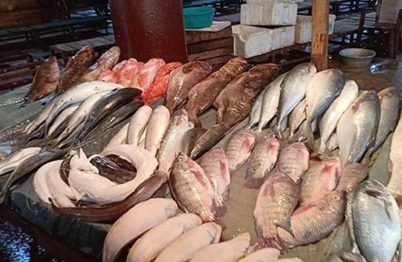 قفزة غير مسبوقة في أسعار الأسماك بمصر، البلطي والبوري في صدارة الزيادة