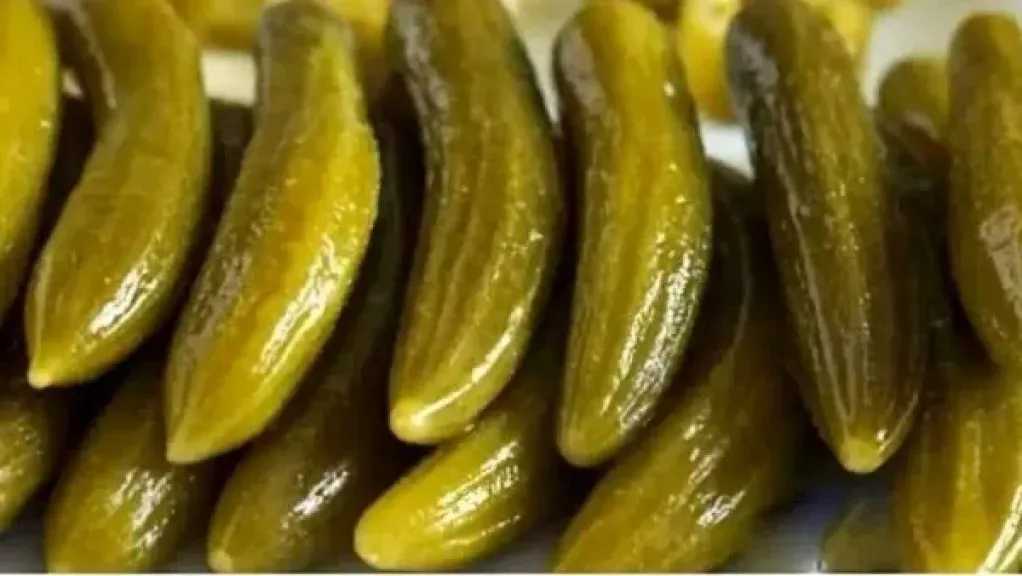 أسرار تحضير الخيار المخلل السريع بنكهات مميزة
